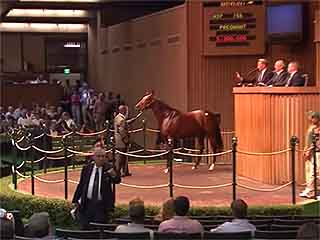 صور Keeneland Sales ألحيوَانَات